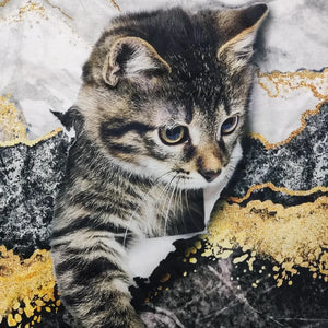 Women's T shirt 3D Cat Painting